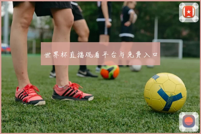 世界杯直播观看平台与免费入口
