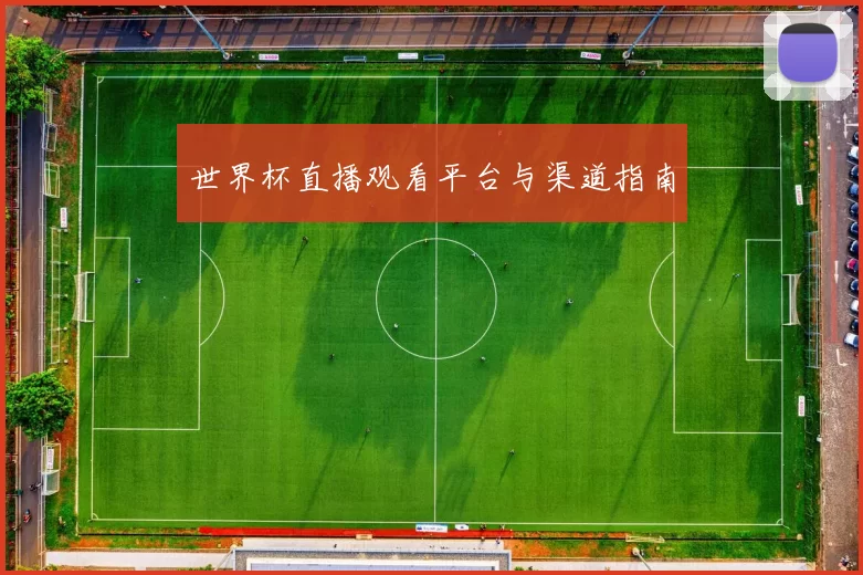 世界杯直播观看平台与渠道指南