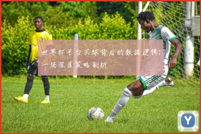 世界杯平台买球背后的数据逻辑:一场深度策略剖析