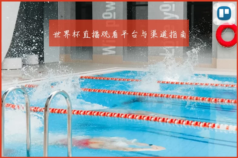 世界杯直播观看平台与渠道指南