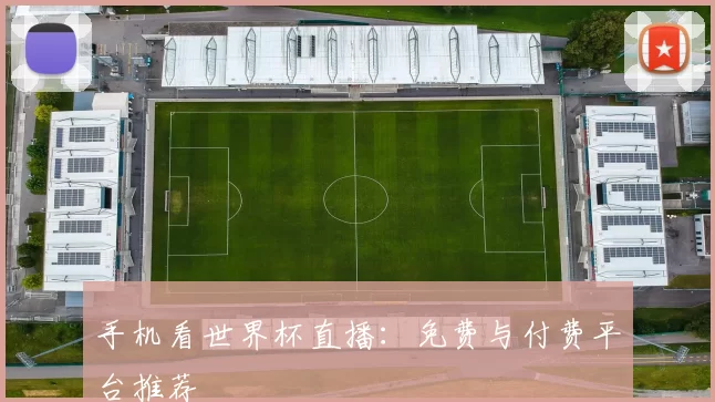 手机看世界杯直播：免费与付费平台推荐