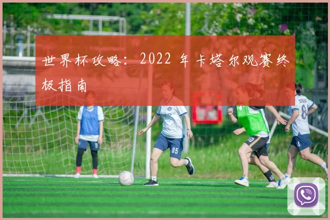 世界杯攻略：2022 年卡塔尔观赛终极指南