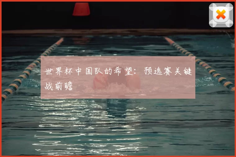 世界杯中国队的希望:预选赛关键战前瞻