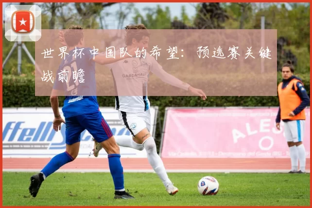 世界杯中国队的希望：预选赛关键战前瞻