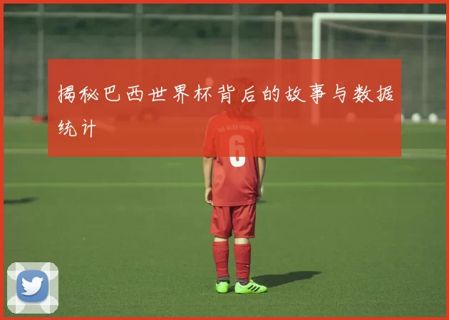 揭秘巴西世界杯背后的故事与数据统计