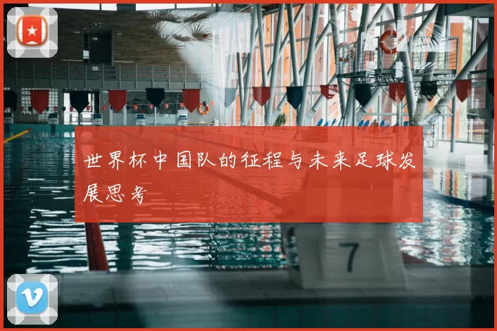 世界杯中国队的征程与未来足球发展思考