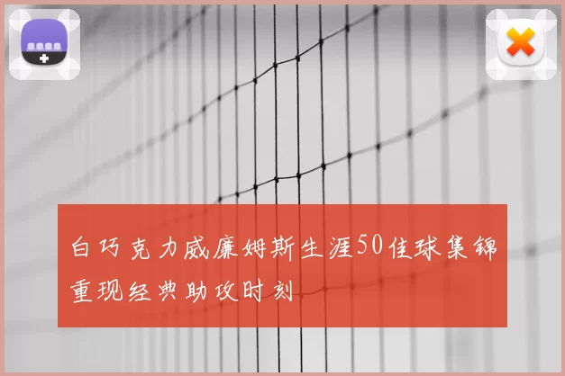 白巧克力威廉姆斯生涯50佳球集锦重现经典助攻时刻