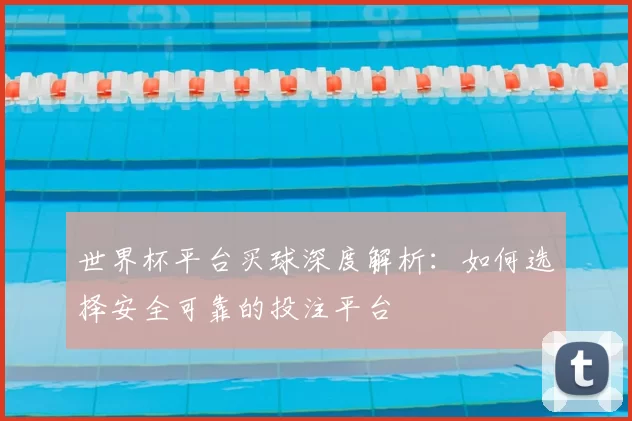 世界杯平台买球深度解析：如何选择安全可靠的投注平台
