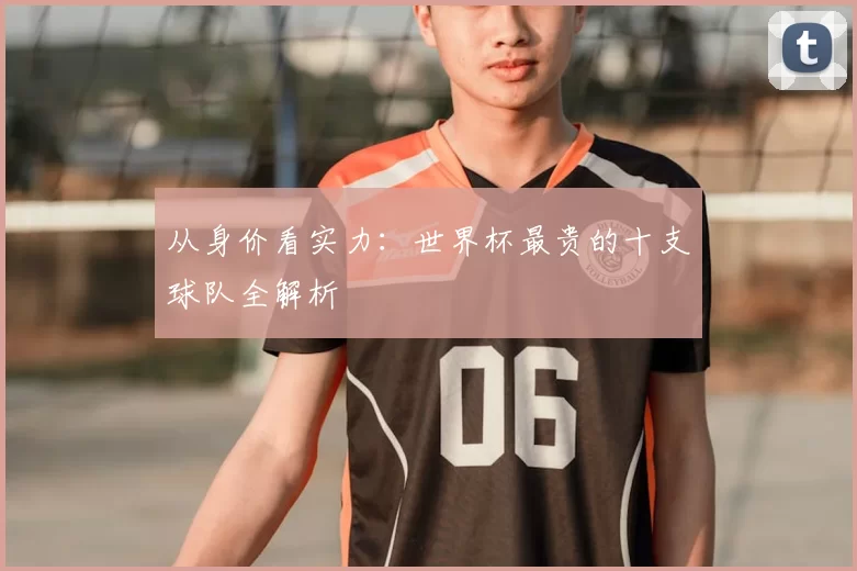 从身价看实力:世界杯最贵的十支球队全解析
