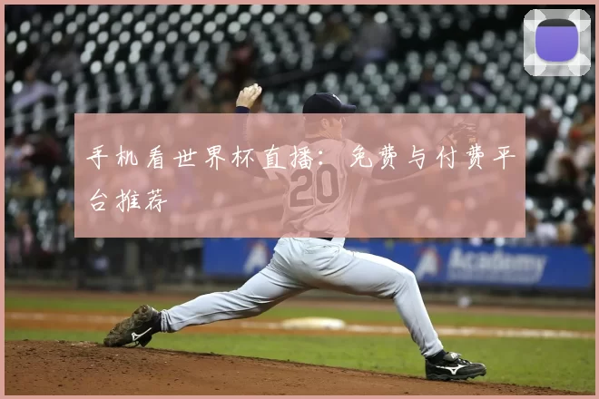 手机看世界杯直播：免费与付费平台推荐